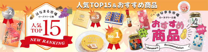 人気TOP15（PDF）